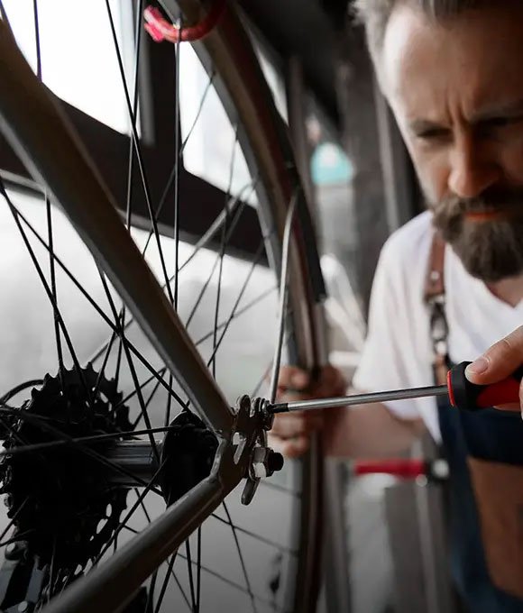 Bici Urbana